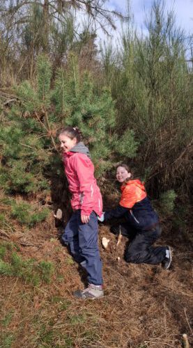 h-IMG_1597-scaled-277x600.jpg4