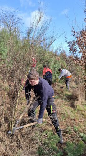 h-IMG_1598-1-scaled-277x600.jpg5