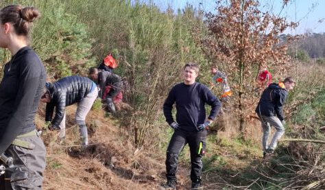 q-20250225_094356-scaled-600x277