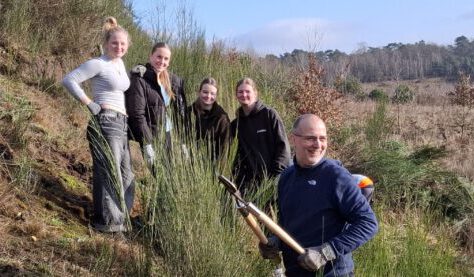 q-IMG_1609-scaled-600x277