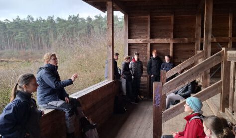 q-IMG_1611-scaled-600x277