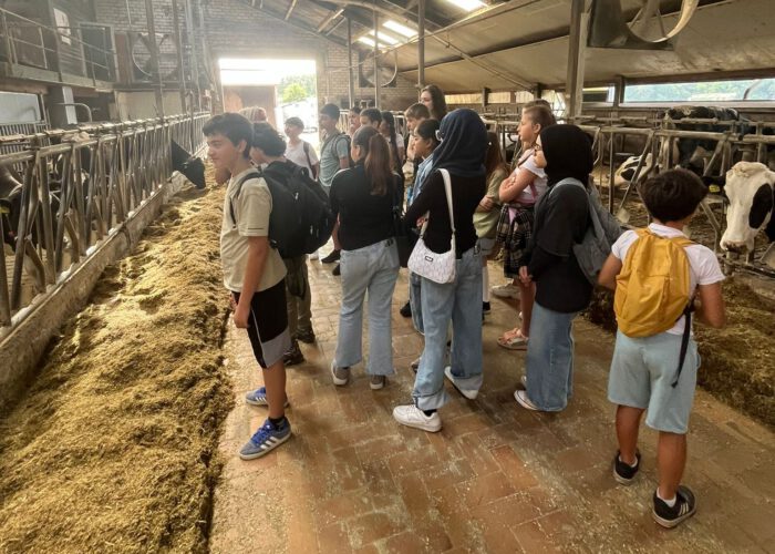 Bild_Fit_in_Deutsch3