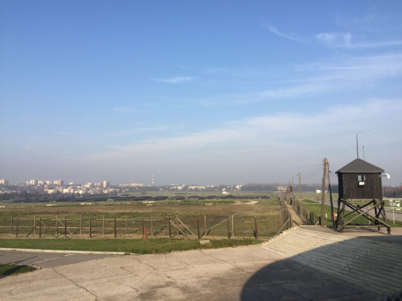 20181109_124848_IMG_6167