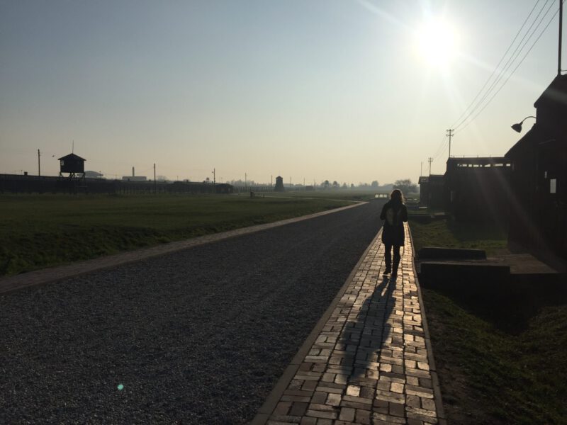 20181109_132634_IMG_6177