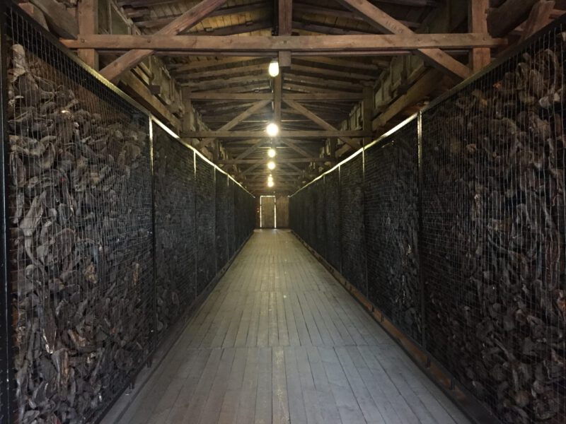 20181109_133708_IMG_6180