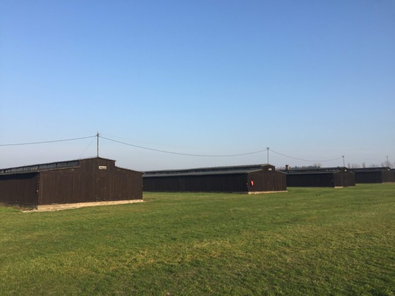 20181109_134906_IMG_6181