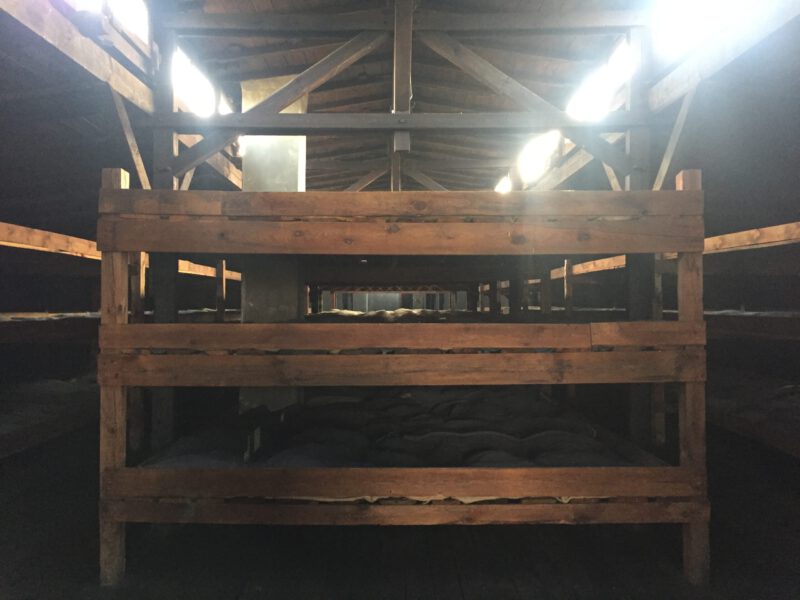 20181109_135105_IMG_6182