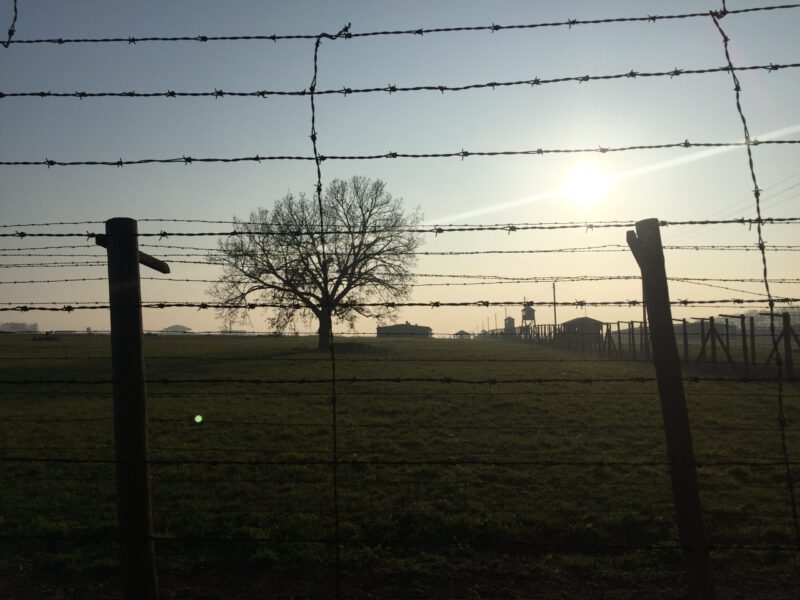 20181109_140245_IMG_6184