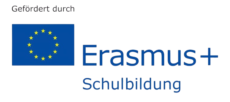 ErasmusLogo-768×341-1-removebg-preview (1)